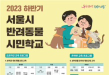 사회화부터 노령동물 돌봄까지,‘서울 반려동물 시민학교’하반기 모집
