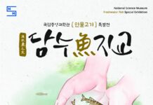 국립중앙과학관, 민물고기 특별전 ‘담수어지교’ 개최