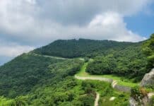 ‘내포문화숲길’ 다시 문 열었다