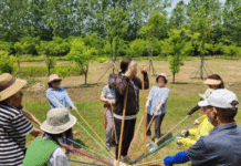인천시, 암 생존자 수면장애 개선 위한 산림치유 프로그램 운영