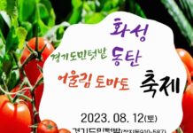 경기도민텃밭에서 토마토에 대해 배우고 먹고 즐겨요