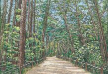 경기도, 광릉숲 사진·드로잉 공모전. ‘숲속 탐험대’ 등 50작품 시상