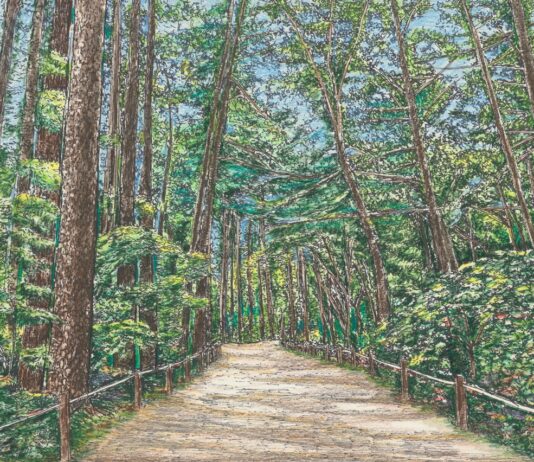 경기도, 광릉숲 사진·드로잉 공모전. ‘숲속 탐험대’ 등 50작품 시상