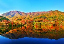 안전한 덕산도립공원에서 가을정취 느껴요