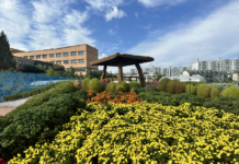 인천시, 10월부터 도시농업 현장체험 프로그램 운영