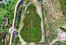 산청엑스포, 온가족 맞춤형 힐링 체험·이벤트 가득