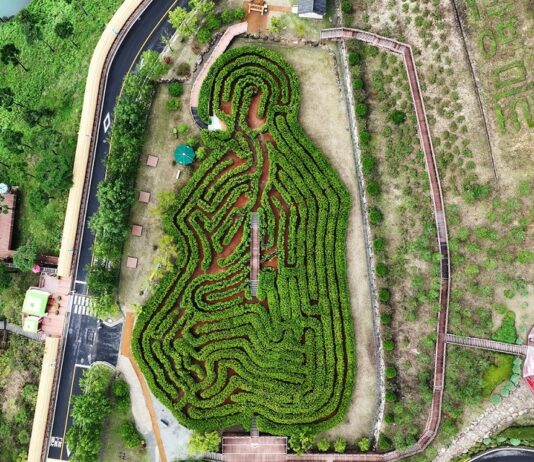 산청엑스포, 온가족 맞춤형 힐링 체험·이벤트 가득