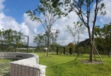 경기도가 조성한 안산 쓰레기매립지 미세먼지 차단숲, 산림청 평가 ‘매우 우수’ 선정