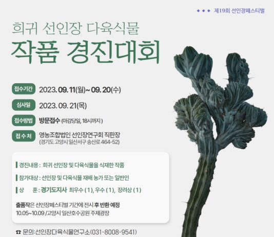 경기도농기원, 희귀 선인장 다육식물 작품 경진대회 열어