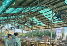 경기도, 공수의사 동원해 럼피스킨병 백신 전 농가에 긴급 접종 추진