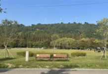 서울시, 난지한강공원에 세븐틴 등 스타숲 생긴다… 올해 총 10개 기부 조성