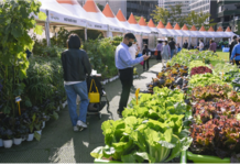 녹색식물을 통한 반려와 치유의 가을축제 서울도시농업박람회 13일(금)~14일(토) DDP에서 개최