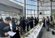 경기도농기원, 신품종 선발을 위한 ‘선인장 다육식물 신계통 평가회’ 열어