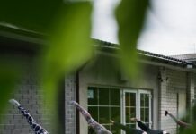 “건강한 복부를 위한 삶의 지혜: 복부지방 감소의 핵심”