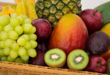 건강한 식습관을 개발하기 위한 필수 팁