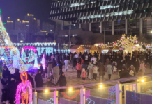 새단장 한 세종 빛 축제, 크리스마스 명소 됐다