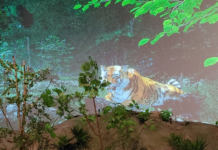 국립생물자원관 전시공간 생생채움, 새단장 마무리 짓고 재개관