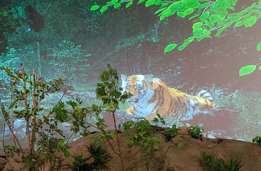 국립생물자원관 전시공간 생생채움, 새단장 마무리 짓고 재개관