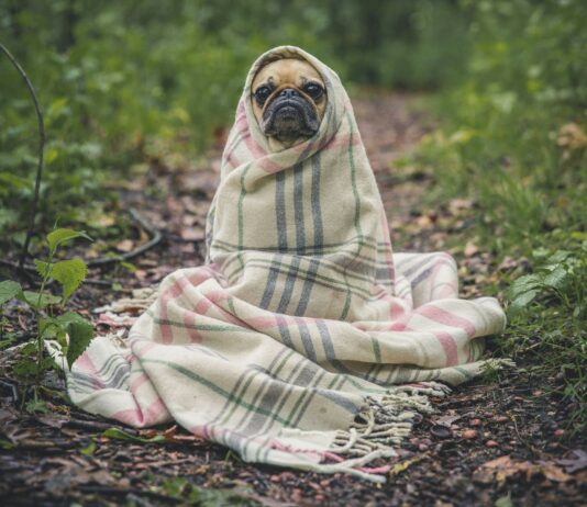 감기 예방을 위한 심층적인 전략과 생활 습관