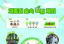 숲속 힐링 체험, 산림교육 프로그램 운영