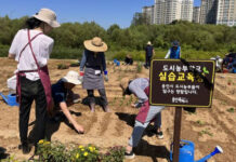 어린이부터 전문가까지 도시농업 교육생 모집