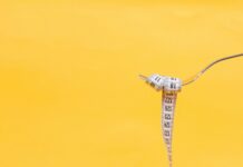 다이어트와 운동: 몸에 좋은 선택, 건강한 결과를 향한 심층적인 고찰