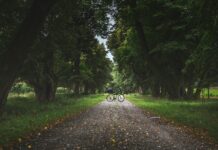 봄, 자전거를 타며 느끼는 자연의 아름다움