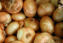 정부 “농수산물 불공정행위 등 실태조사…개선방안 마련”