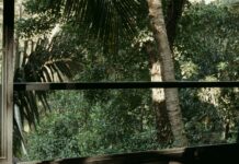 다이어트와 운동의 효과: 건강한 미래를 위한 최고의 투자