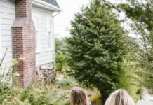 봄철 걷기, 신선한 공기와 함께하는 새로운 출발 two ladies walking on sidewalk with black backpacks