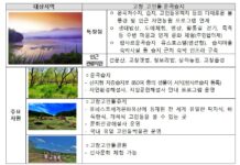 고창 고인돌·운곡습지, ‘생태관광지’ 선정…청보리밭 축제 열려