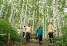 산림재난·안전사고 취약 1794곳 집중 안전점검 실시