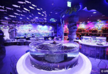 취향대로 골라 즐기자! 내게 맞는 스타필드 찾기