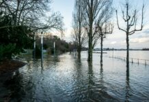 올해부터 AI 활용 홍수예보…예보지점도 223곳으로 대폭 확대 bare trees on snow covered ground during daytime