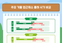 농식품부 “채소류 가격, 4월 중순 정점 찍고 하락세 전환”