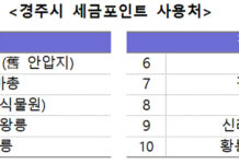 세금포인트로 경주 사적지 관람 할인…국세청·경주시 협약
