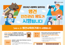 맹견 사육하려면 ‘허가’ 받아야 한다…책임보험·중성화 필수