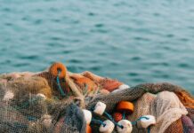 고수온 예비특보 발령 수온 낮춘다…어업인 대비 시간 확보 white and gray fish net