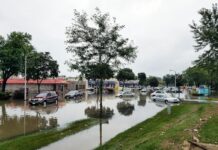여름철 집중호우 대비 ‘침수 취약계층’ 1:1 집중 보호 cars on flooded street