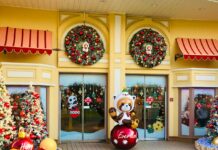 ‘호국보훈의 달’ 보훈대상자+1인 항공료 최대 50% 할인 raccoon statue outside building with christmas decors