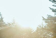 운동 전후 스트레칭의 필요성 group of people raising their hands