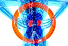 신장이식 수가 최대 186% 인상…“합당한 보상 이뤄지도록” a blue and red jellyfish