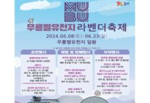 기차 타고 동해 무릉별유천지 가자! …23일까지 라벤더 축제