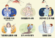 말라리아 매개모기 증가…전국에 ‘말라리아 주의보’ 발령