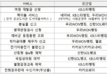 민간앱서 여권 재발급 신청…공공서비스 11종 이용 가능