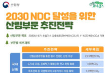 산림 흡수원으로 국가 온실가스 감축목표 11% 책임진다