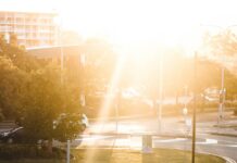 여름철 적정 운동 시간 woman jogging on park during daytime