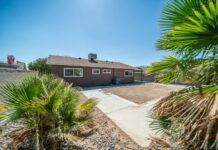 공인중개사 실무교육 시간 2배로…전문성·신뢰 확보 기대 a brown house with a palm tree in front of it