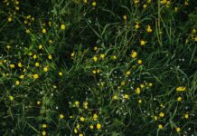 비 오는 날 운동, 정신 건강에도 좋다 woman lying on grassland