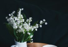 장마철 정신 건강 관리법 white and blue ceramic mug on brown wooden table